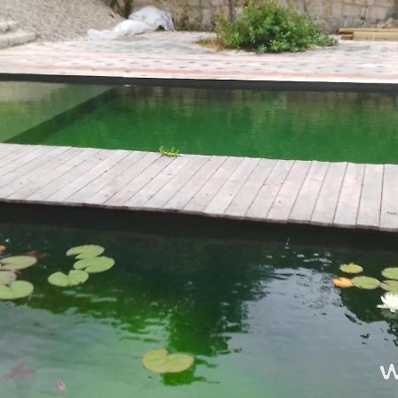 Gite Les Cabanes De Fallot Pour 15 Personnes - Piscine Naturelle L'isle-Bouzon Dış mekan fotoğraf