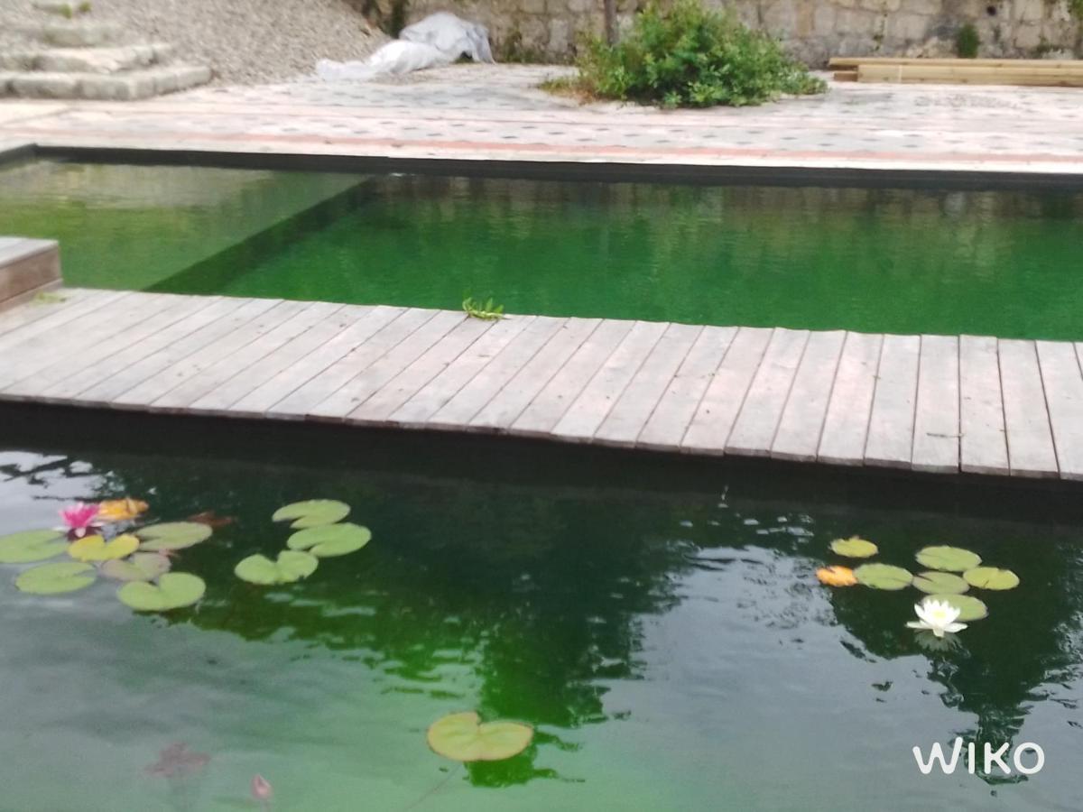 Gite Les Cabanes De Fallot Pour 15 Personnes - Piscine Naturelle L'isle-Bouzon Dış mekan fotoğraf