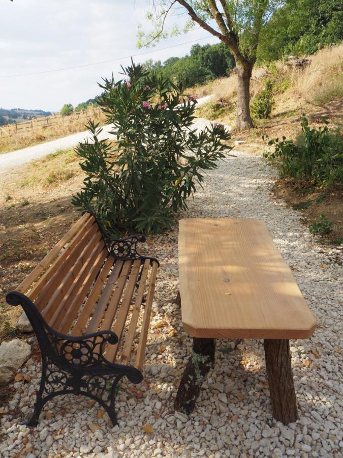 Gite Les Cabanes De Fallot Pour 15 Personnes - Piscine Naturelle L'isle-Bouzon Dış mekan fotoğraf
