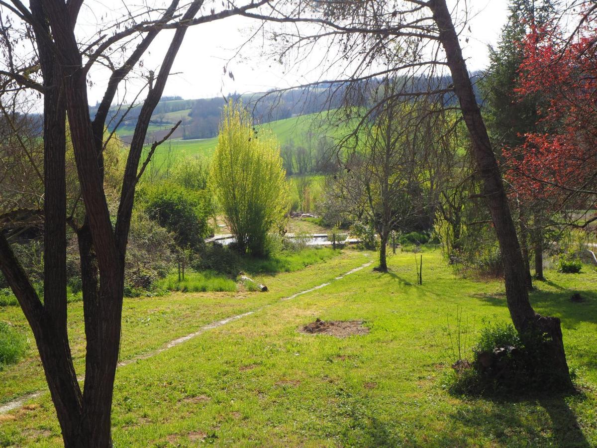 Gite Les Cabanes De Fallot Pour 15 Personnes - Piscine Naturelle L'isle-Bouzon Dış mekan fotoğraf