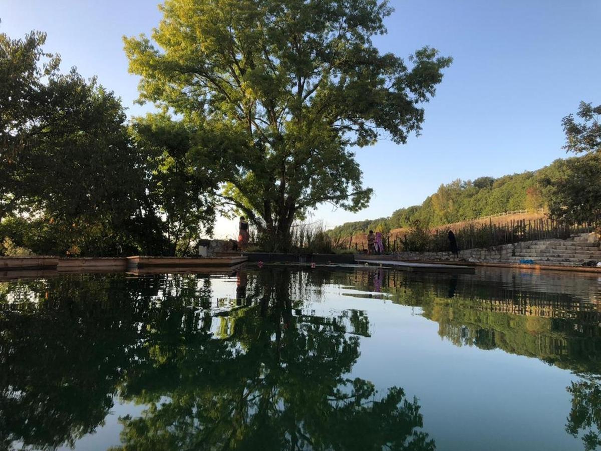 Gite Les Cabanes De Fallot Pour 15 Personnes - Piscine Naturelle L'isle-Bouzon Dış mekan fotoğraf
